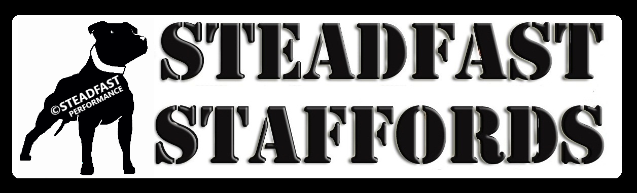 STEADFAST STAFFORDS